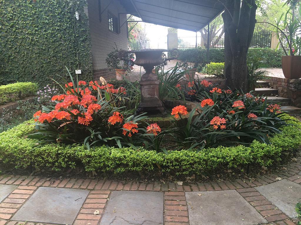 Landscape Design Pretoria